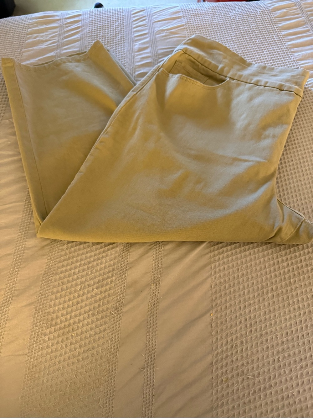 Gloria Vanderbilt Women's Capris Tan Size 18W